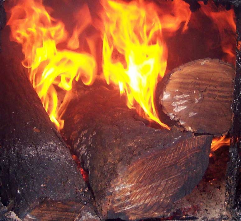 Burning Wood
